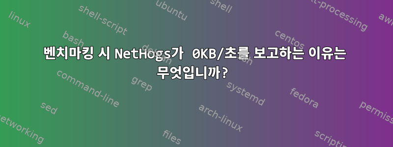 벤치마킹 시 NetHogs가 0KB/초를 보고하는 이유는 무엇입니까?