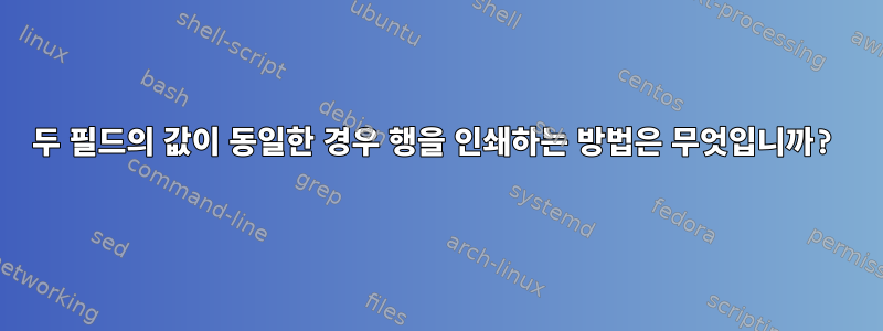 두 필드의 값이 동일한 경우 행을 인쇄하는 방법은 무엇입니까?