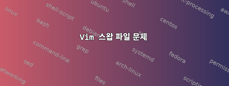 Vim 스왑 파일 문제