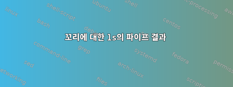 꼬리에 대한 ls의 파이프 결과