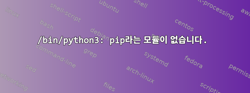 /bin/python3: pip라는 모듈이 없습니다.