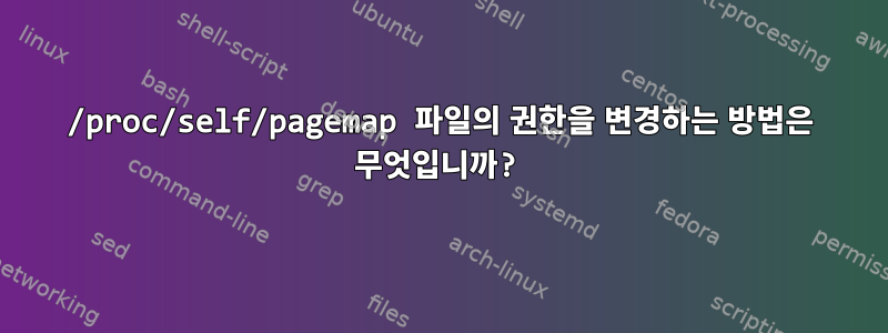 /proc/self/pagemap 파일의 권한을 변경하는 방법은 무엇입니까?