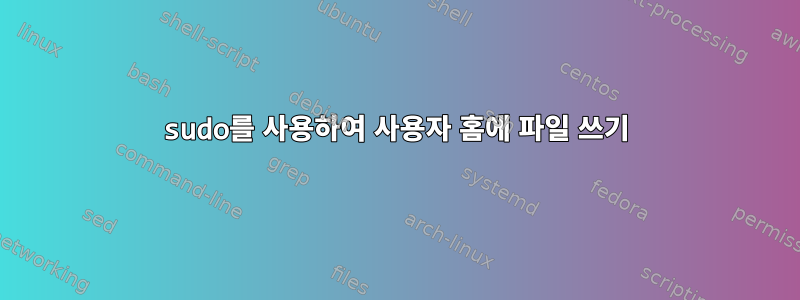 sudo를 사용하여 사용자 홈에 파일 쓰기