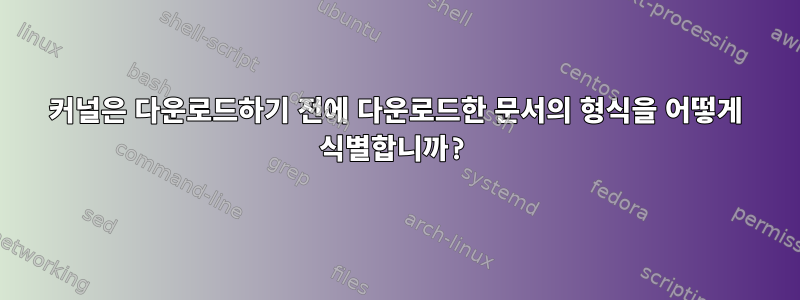 커널은 다운로드하기 전에 다운로드한 문서의 형식을 어떻게 식별합니까?