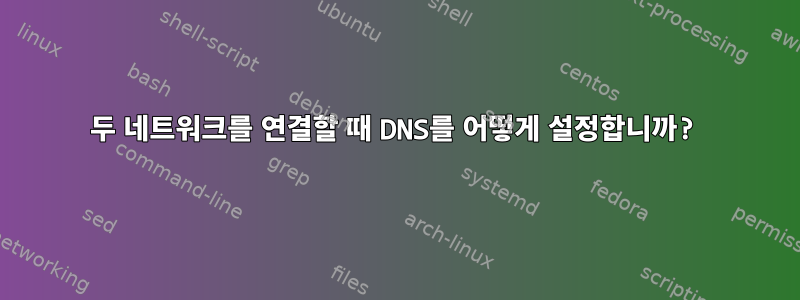 두 네트워크를 연결할 때 DNS를 어떻게 설정합니까?