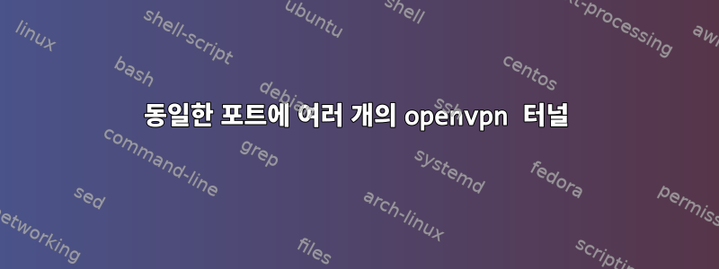 동일한 포트에 여러 개의 openvpn 터널