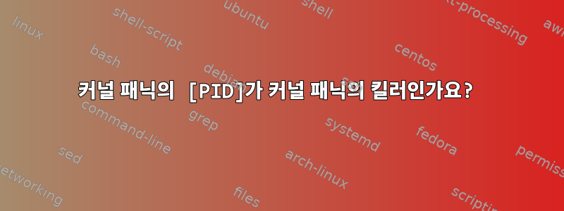 커널 패닉의 [PID]가 커널 패닉의 킬러인가요?