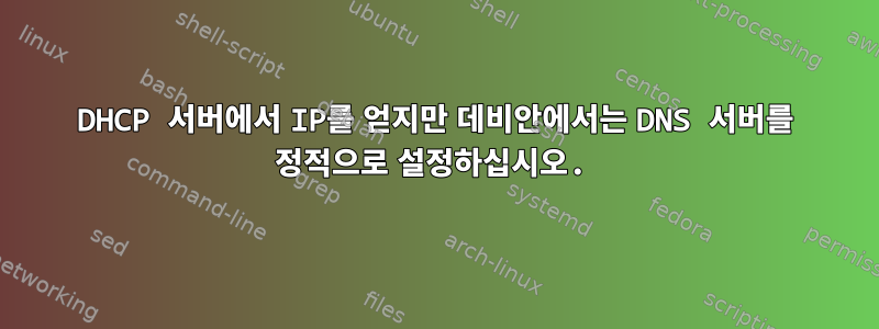 DHCP 서버에서 IP를 얻지만 데비안에서는 DNS 서버를 정적으로 설정하십시오.