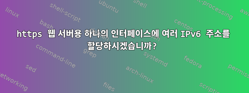 https 웹 서버용 하나의 인터페이스에 여러 IPv6 주소를 할당하시겠습니까?