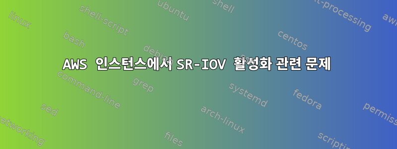 AWS 인스턴스에서 SR-IOV 활성화 관련 문제