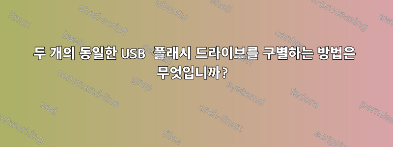 두 개의 동일한 USB 플래시 드라이브를 구별하는 방법은 무엇입니까?