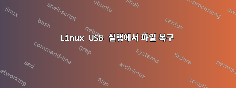 Linux USB 실행에서 파일 복구