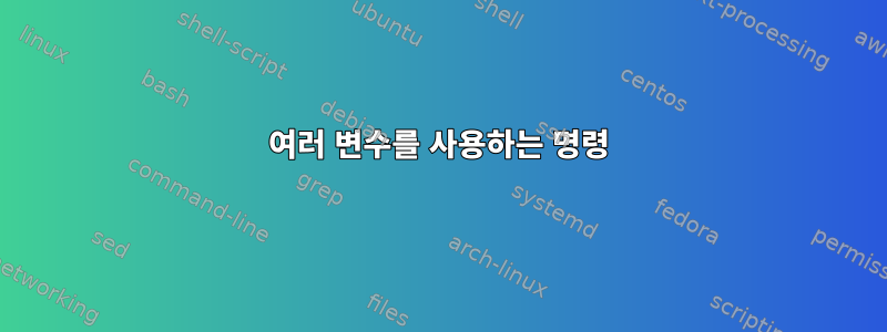 여러 변수를 사용하는 명령