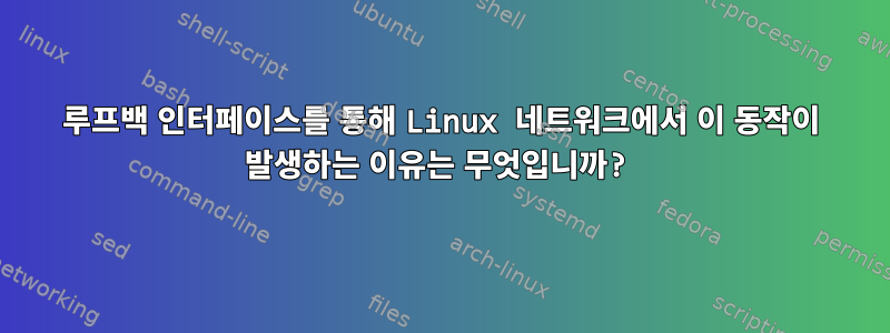 루프백 인터페이스를 통해 Linux 네트워크에서 이 동작이 발생하는 이유는 무엇입니까?