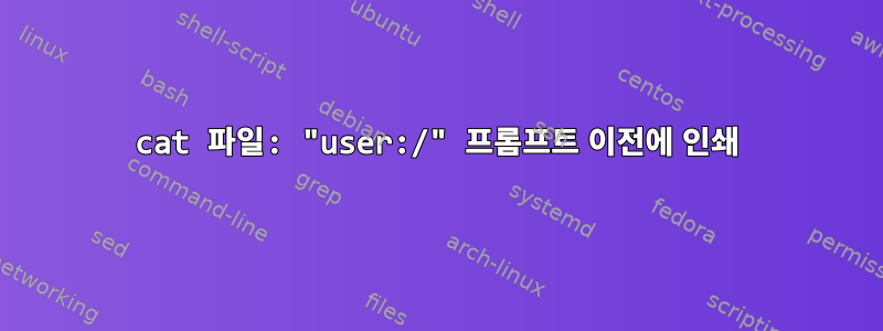 cat 파일: "user:/" 프롬프트 이전에 인쇄