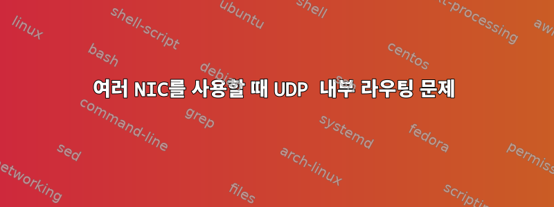 여러 NIC를 사용할 때 UDP 내부 라우팅 문제