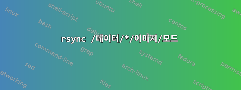 rsync /데이터/*/이미지/모드