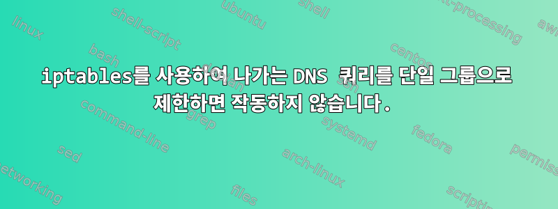 iptables를 사용하여 나가는 DNS 쿼리를 단일 그룹으로 제한하면 작동하지 않습니다.