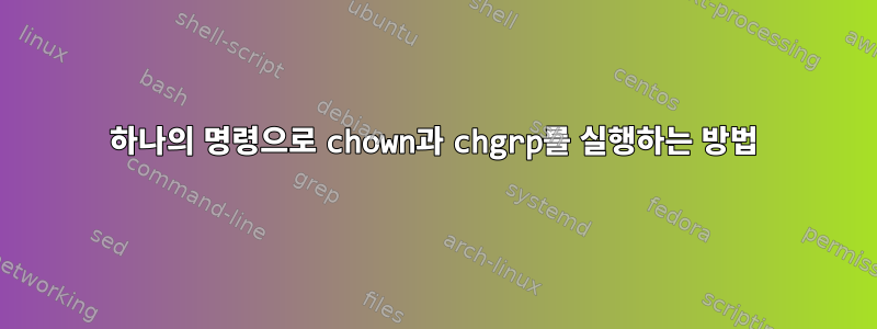 하나의 명령으로 chown과 chgrp를 실행하는 방법