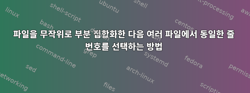 파일을 무작위로 부분 집합화한 다음 여러 파일에서 동일한 줄 번호를 선택하는 방법