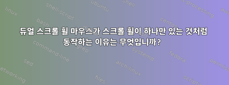 듀얼 스크롤 휠 마우스가 스크롤 휠이 하나만 있는 것처럼 동작하는 이유는 무엇입니까?