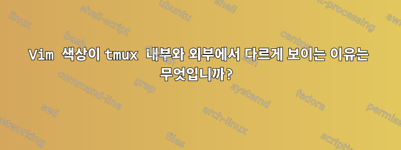 Vim 색상이 tmux 내부와 외부에서 다르게 보이는 이유는 무엇입니까?