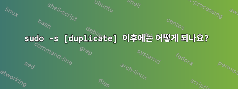 sudo -s [duplicate] 이후에는 어떻게 되나요?