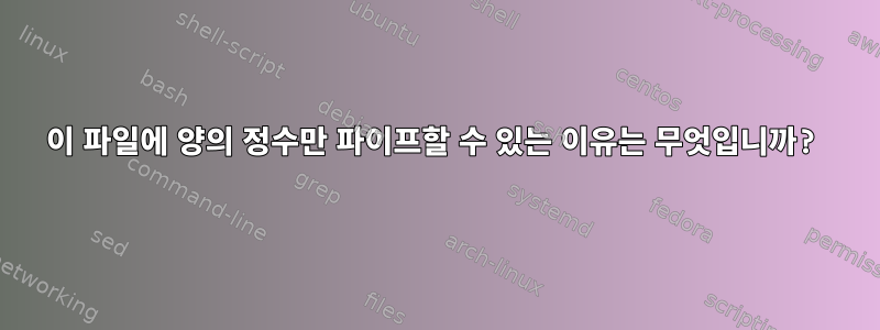 이 파일에 양의 정수만 파이프할 수 있는 이유는 무엇입니까?