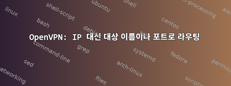 OpenVPN: IP 대신 대상 이름이나 포트로 라우팅