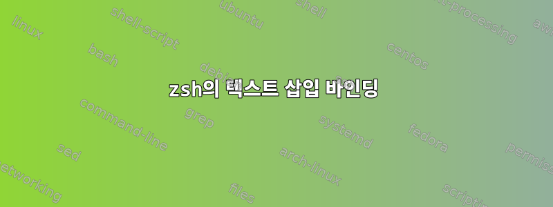 zsh의 텍스트 삽입 바인딩