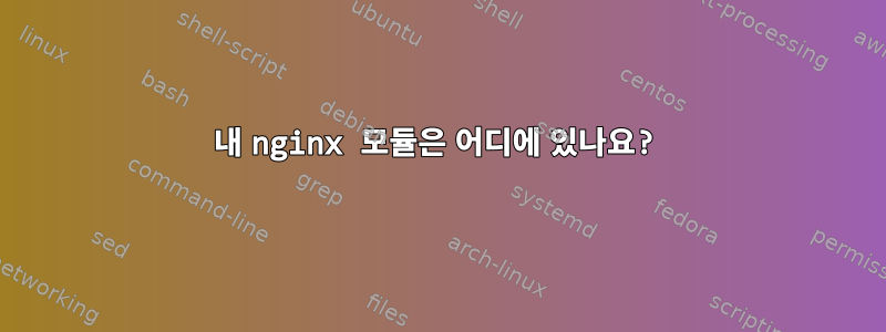 내 nginx 모듈은 어디에 있나요?