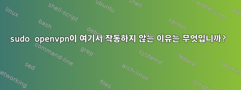 sudo openvpn이 여기서 작동하지 않는 이유는 무엇입니까?