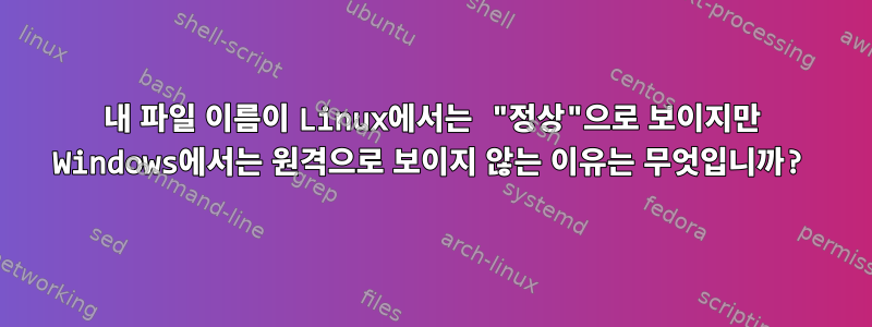 내 파일 이름이 Linux에서는 "정상"으로 보이지만 Windows에서는 원격으로 보이지 않는 이유는 무엇입니까?