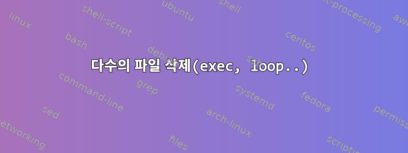 다수의 파일 삭제(exec, loop..)