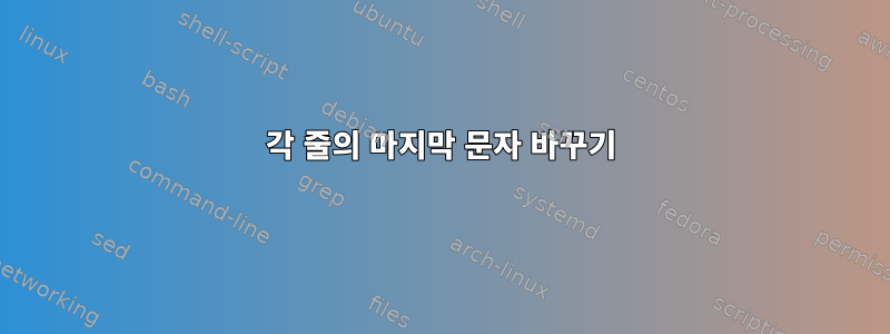 각 줄의 마지막 문자 바꾸기