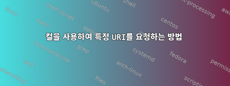 컬을 사용하여 특정 URI를 요청하는 방법