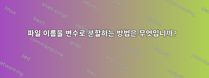 파일 이름을 변수로 분할하는 방법은 무엇입니까?