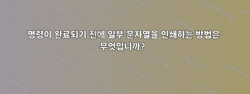 명령이 완료되기 전에 일부 문자열을 인쇄하는 방법은 무엇입니까?