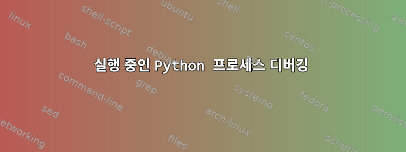 실행 중인 Python 프로세스 디버깅