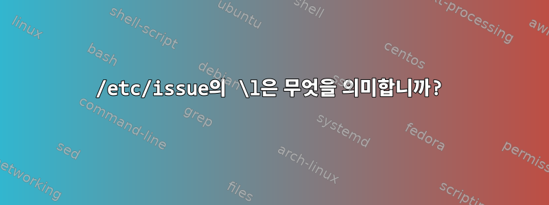 /etc/issue의 \l은 무엇을 의미합니까?