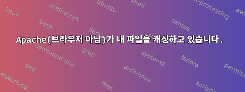 Apache(브라우저 아님)가 내 파일을 캐싱하고 있습니다.