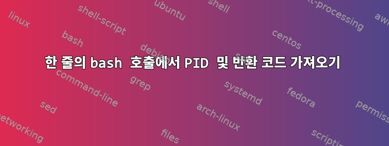 한 줄의 bash 호출에서 PID 및 반환 코드 가져오기