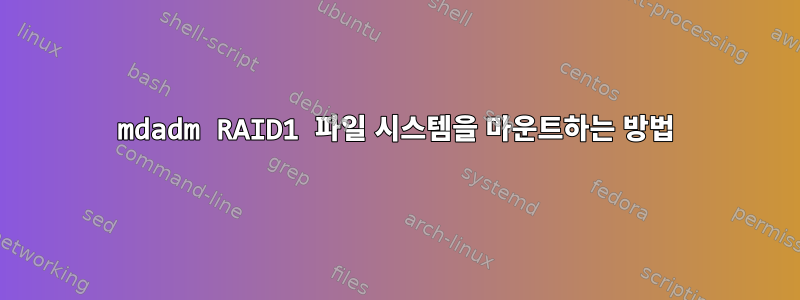 mdadm RAID1 파일 시스템을 마운트하는 방법