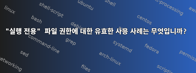 "실행 전용" 파일 권한에 대한 유효한 사용 사례는 무엇입니까?