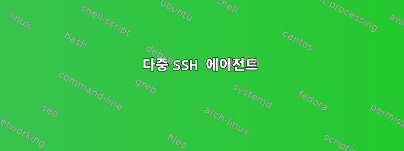 다중 SSH 에이전트