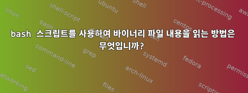 bash 스크립트를 사용하여 바이너리 파일 내용을 읽는 방법은 무엇입니까?