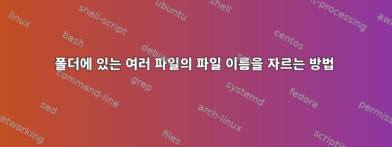 폴더에 있는 여러 파일의 파일 이름을 자르는 방법