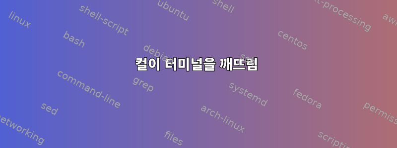 컬이 터미널을 깨뜨림