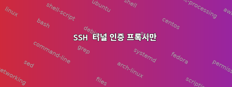 SSH 터널 인증 프록시만