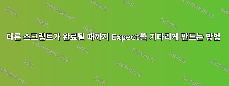 다른 스크립트가 완료될 때까지 Expect를 기다리게 만드는 방법